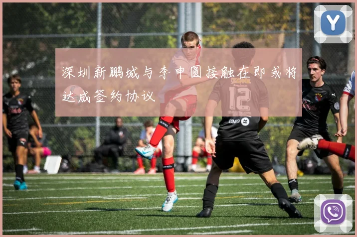 深圳新鹏城与李申圆接触在即或将达成签约协议