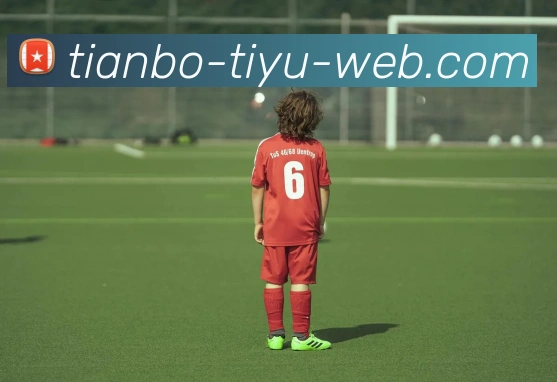 天博体育全站App